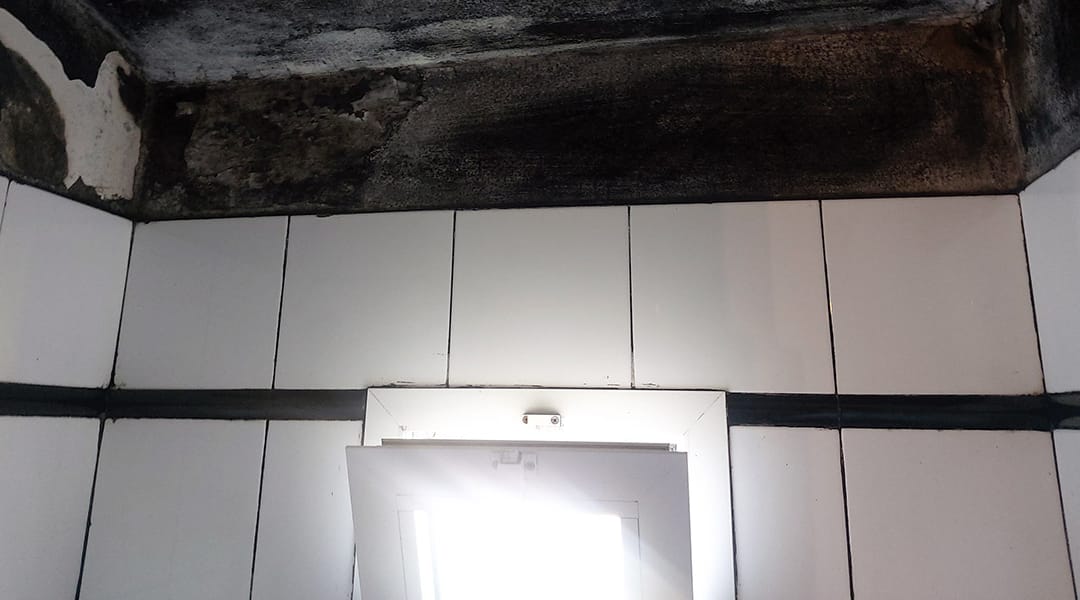 Muffa sui muri: rimozione definitiva. Immagine di parete e soffitto con presenza di muffa nera e bianca.