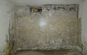 Interrati-e-scantinati-umidi