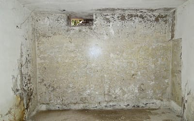 Murature, interrati e scantinati umidi