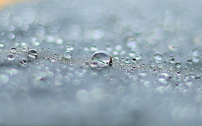 Quali sono le differenze tra umidità assoluta e relativa?