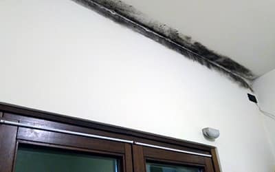I nostri interventi anti-umidità: a casa del signor Franceschini la muffa sui muri è un ricordo