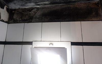 Muffa sui muri: come toglierla definitivamente