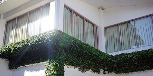 Arieggia casa d'estate! Finestre aperte per combattere umidità e muffa. Ventilazione essenziale per un ambiente sano.