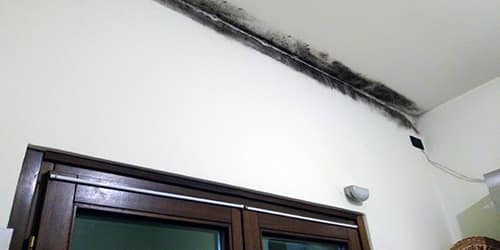 Muffa sui muri: intervento anti-umidità a casa Franceschini. Soluzione definitiva per pareti sane e senza muffa.